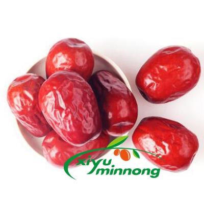 Dried Chinese red dates dry jujube jumbo Hetian large dried fruit organic natural whole sweet