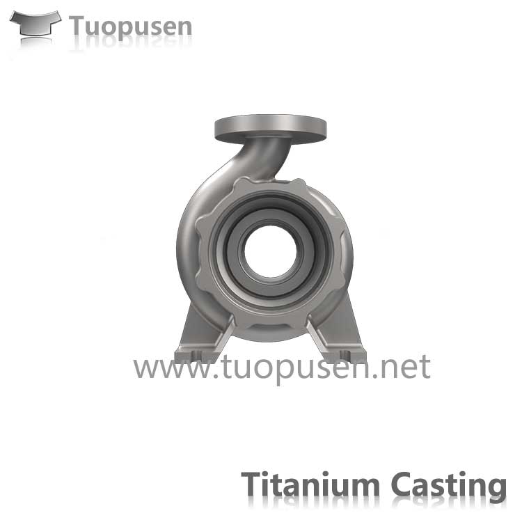 Titanium  Precision casting  titanium pump Gr2 investment casting