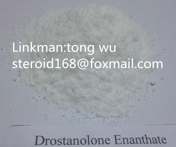 Best Quanlity Anabolic Hormone Steroid Drostanolone Enanthate