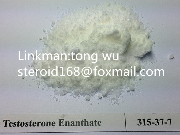 Best Quanlity Anabolic Hormone Steroid Powder Testosterone Enanthate