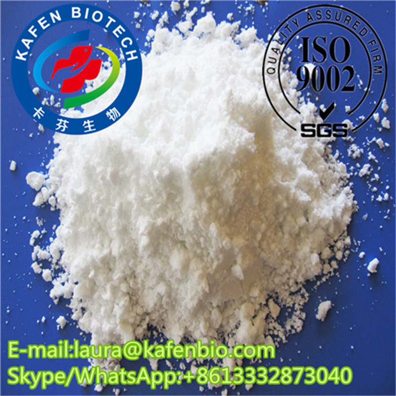 Pharmaceutical Grade Raw Material Chitosan CAS 9012-76-4 for Food