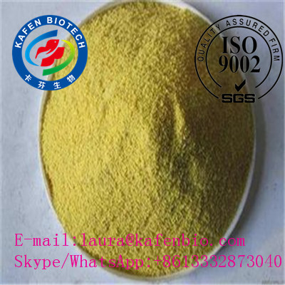 Nture Oganic Geen Tea Extract / Instant Green Tea Powder Tea Polyphenols for Anti Cancer Anti Allergy 