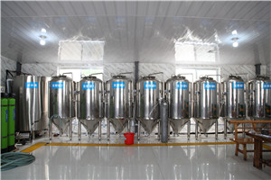 craft beer brewery fermentation / fermentater / fermentator tank