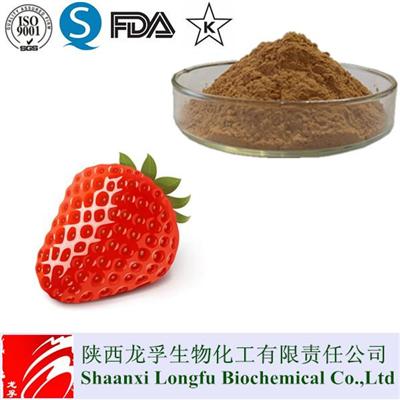 Pure Strawberry Fruit Extract Powder 100% Natural