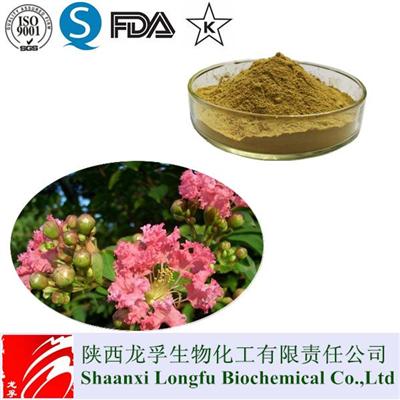 Best Banaba Leaf Extract/2% Corosolic Acid Powder