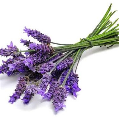 100% Pure Natural Lavender Essential Oil For Hair, Skin Care Lavender Oil