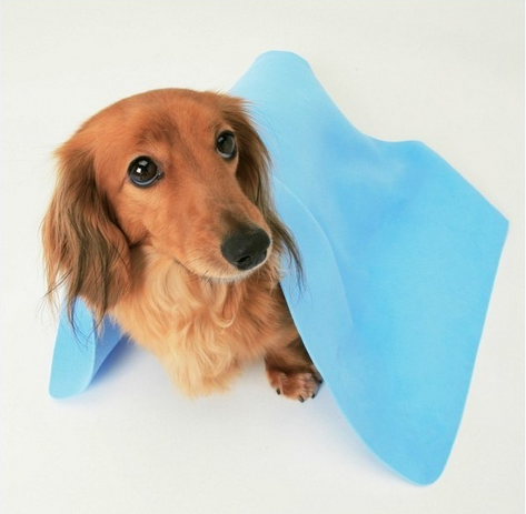 Best Selling Professional Pet Dog Drying Bath Towel Cloth