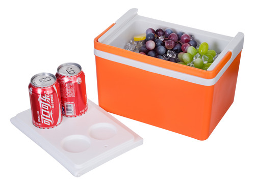 Personal Cooler box with PU foam
