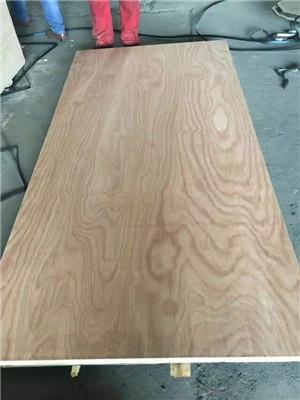 clone plywood poplar core E1/E0 glue furniture use