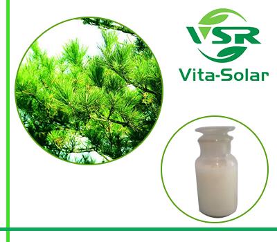 Pine Tree Phytosterols Ester, NON-GMO 97% Tall Oil Sterols Ester Suppliers