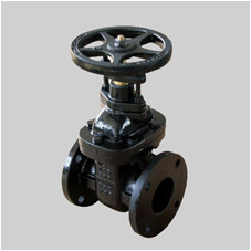 MSS SP 70 125S cast iron gate valve NRS solid wedge disc flanged ends