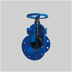 EN 1171 PN10/PN16 F3 ductile iron resilient seat gate valve NRS flanged ends