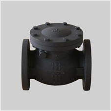 MSS SP 71 cast iron 125S swing check valve flanged ends