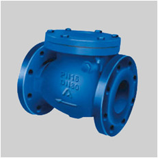 EN 12334 cast iron PN16 F10 swing check valve flanged ends