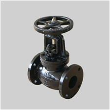 MSS SP 85 125S cast iron globe valve flanged ends