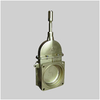 4.2 PSI delta c brass gate valve