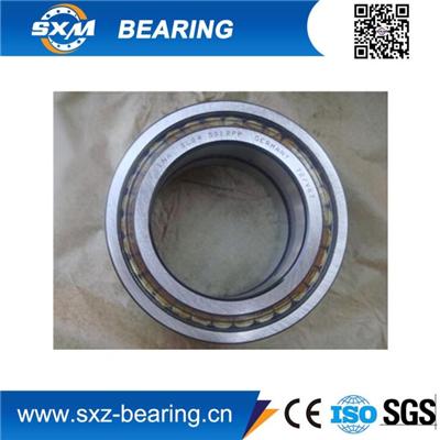 INA Full Cylindrical Roller Bearing