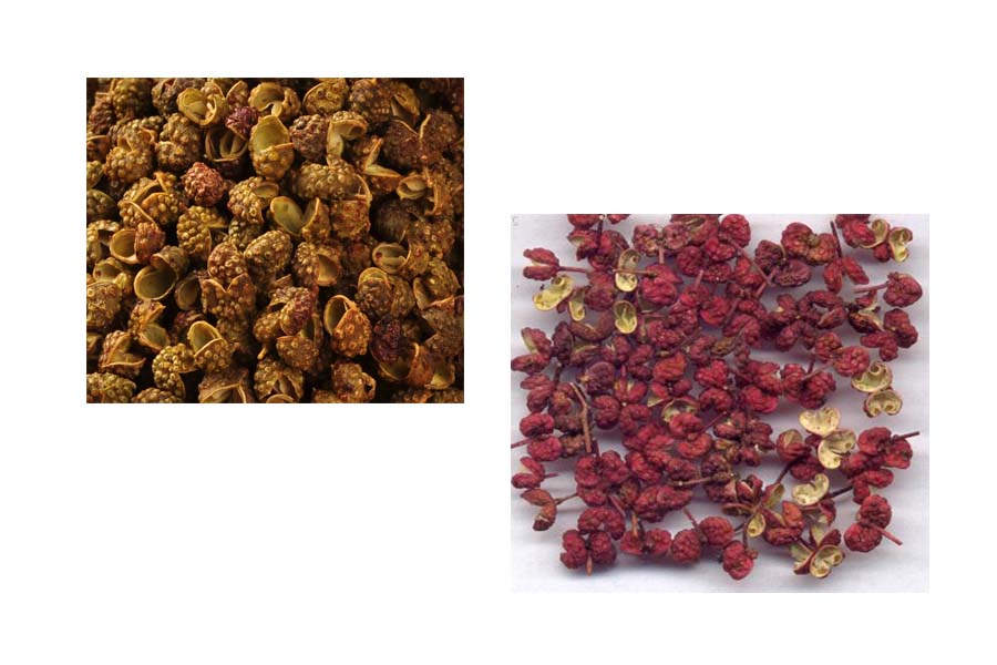 Natural Seasonging and condiment Sichuan pepper/Chinese prickly ash