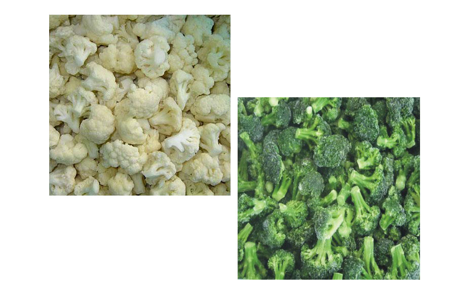 IQF/Frozen Chinese broccoli/cauliflower cut