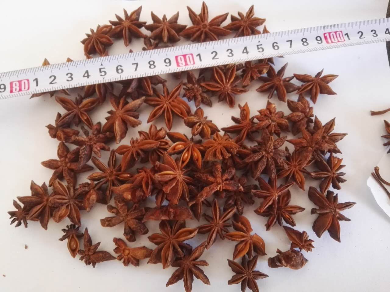 Chinese New crop dried natural aniseed/ star anise