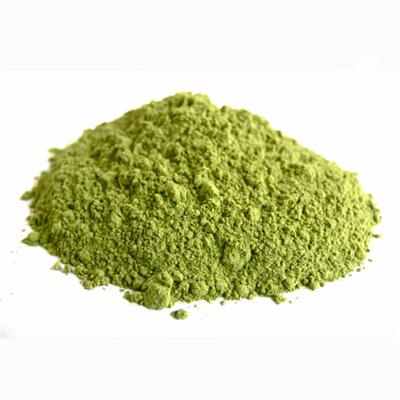 Spinach Powder / Spinach Extract / Spinach Extract Powder / Natural Spinach Extract