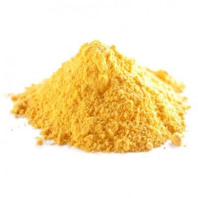 Pumpkin Powder / Pumpkin Extract Powder / 100% Natural Pumpkin Powder