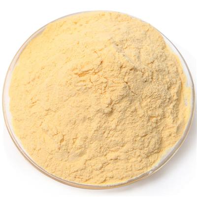 Papaya Powder / Papaya Extract / Pawpaw extract Powder / Pawpaw extract