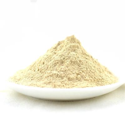 Shallot Powder / Shallot Extract Powder