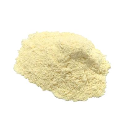 Mango Powder / Mango concentrate powder / Mango Fruits Extract Powder