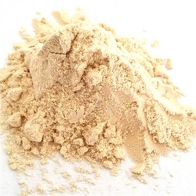 Lychee Powder / Lychee Concentrate Powder / 100% Natural Fruit Powder