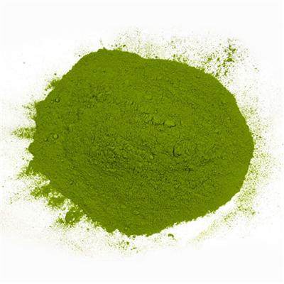 Green Beans Powder / Green Beans Extract Powder from Factory