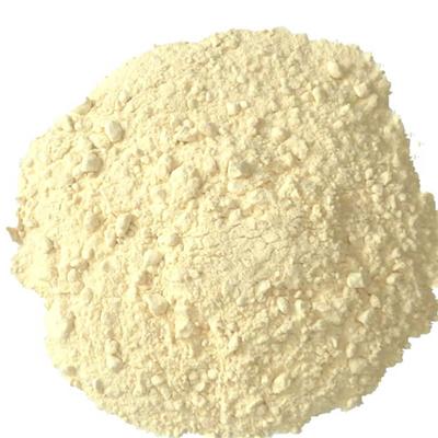 Garlic Powder / GMP Garlic Extract Powder / Factory Supply Natural Garlic Extract