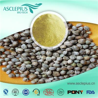 Hemp Seed Protein Powder Supplier Wholesale