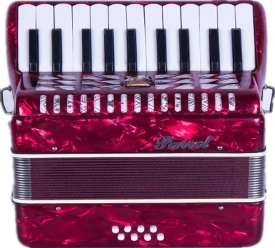 Parrot 22 Keys 8 Bass Piano Accordion With Case And Straps