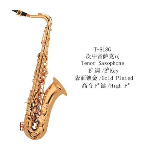 Professor All Size High Quality Tenor Saxophone