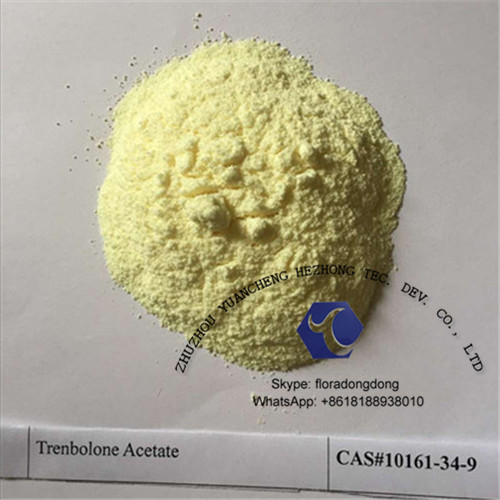 CAS: 23454-33-3 Trenbolone Hexahydrobenzyl Carbonate Steroid Powder with Factory Supply