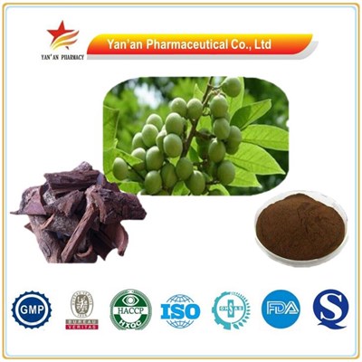 Good Quality Pygeum Africanum Extract Phytosterols