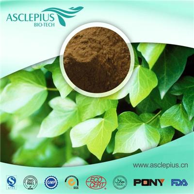 English Ivy Leaf Extract Supplement Supplier