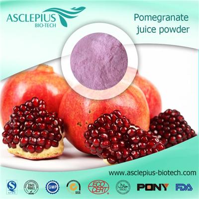 Pomegranate Juice Powder Pomegranate Extract Powder Supplier Wholesale