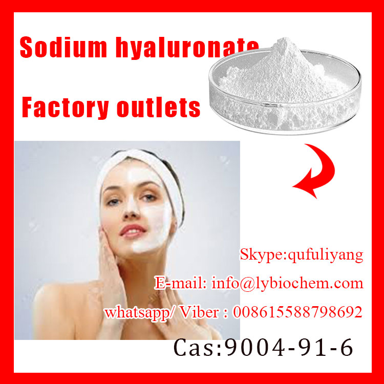 Skin Care Active Ingredient Sodium Hyaluronate