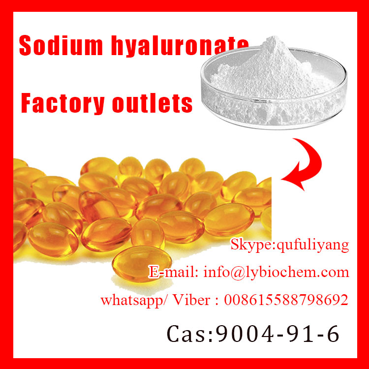 High Quality Sodium Hyaluronate CAS No 9004-61-9