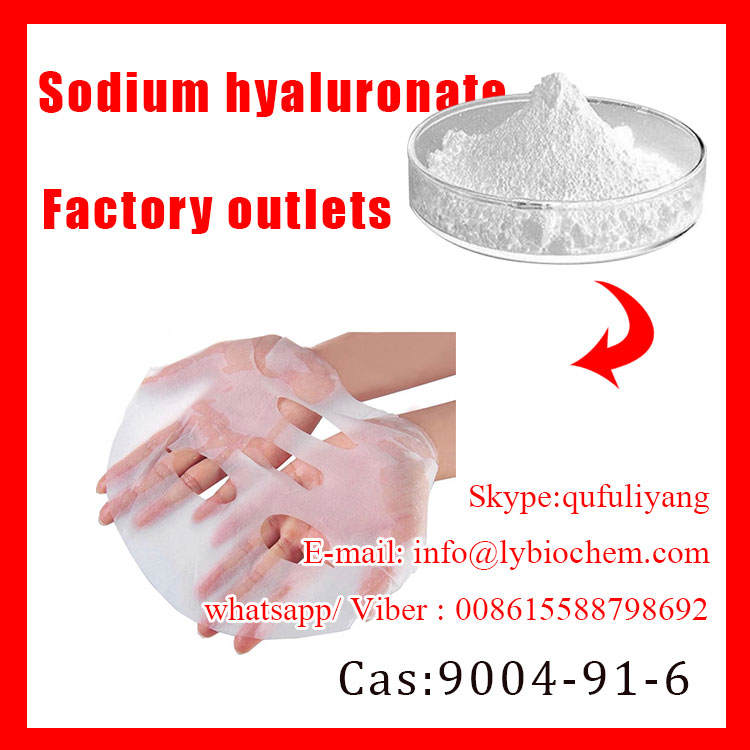 Hot sales Manufacturer white powder sodium hyaluronate