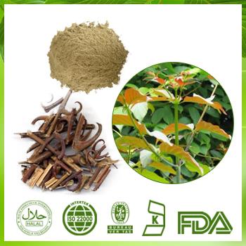 Nature Product Aharpleaf Ucaria Stem with Hooks Extract |Gambir Plant Extract|Ramulus Uncariae Extract Powder