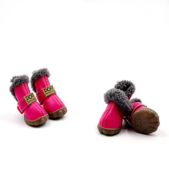 dog winter shoes