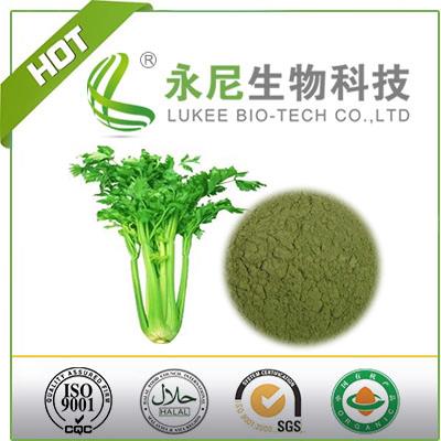 Free Sample of Natural Vegatable of Celery Juice Powder