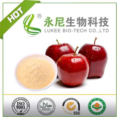 Best Qulaity Apple Fruit Concentrate Powder