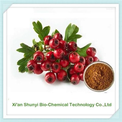 Hawthorn Berry Extract | Natural Hawthorn |standardized Extract