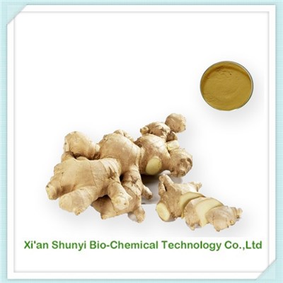 Ginger Extract|pure Ginger Extract |Gingerols
