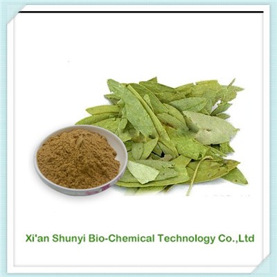 Senna Leaf Extract| 100% Natural Senna Leaf Extract Sennosides