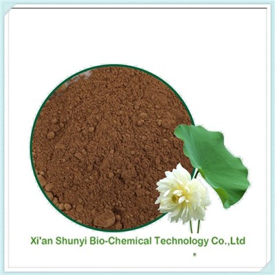Lotus Leaf Extract| High Quality Lotus Leaf Extract 4:1-20:1
